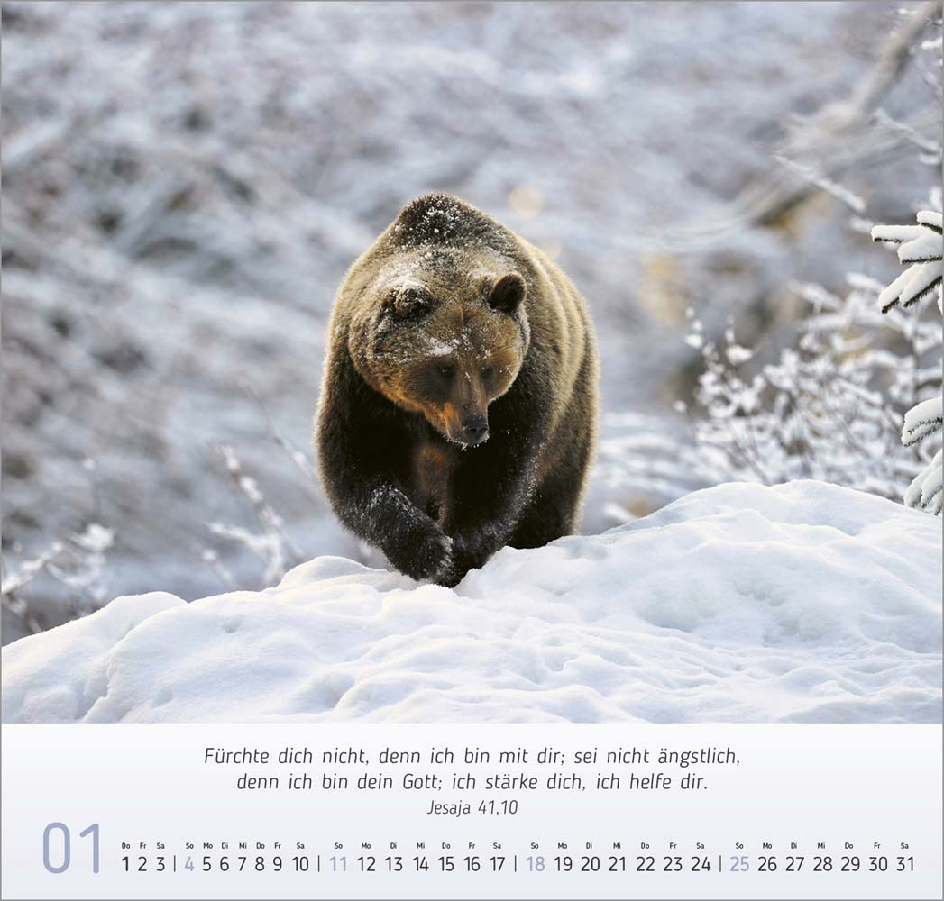 Natur-Impressionen 2026