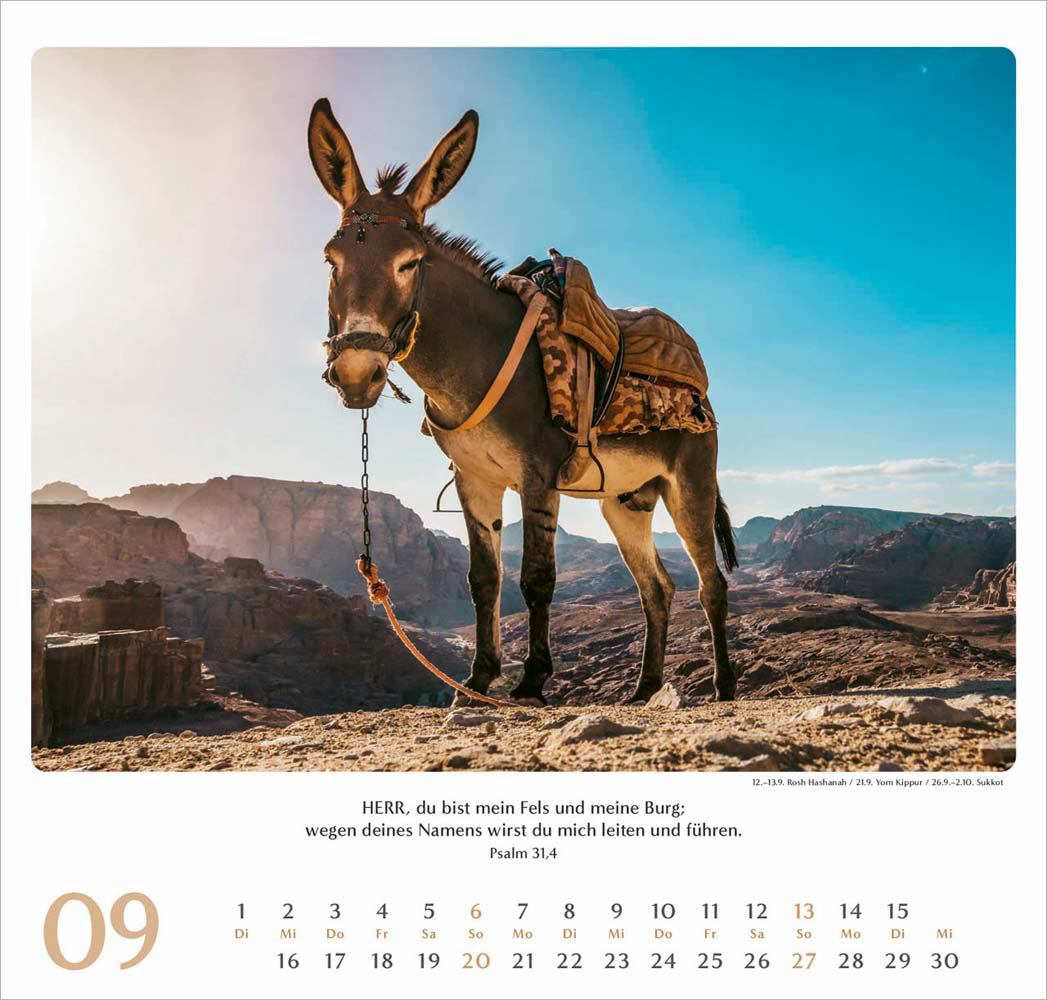 Geliebtes Israel 2026 - Wandkalender Geliebtes Israel 2026 - Wandkalender