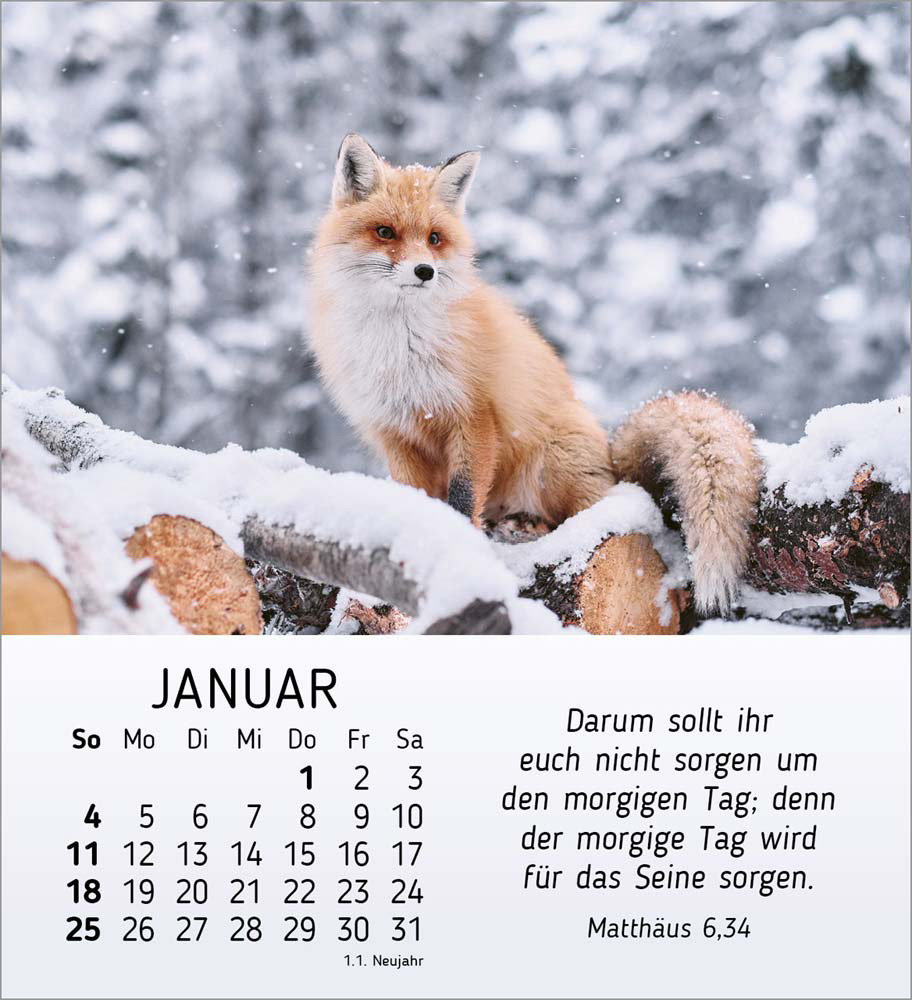 Stille Begegnungen 2026