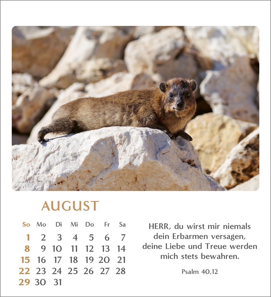 Geliebtes Israel 2027 - Verteilkalender