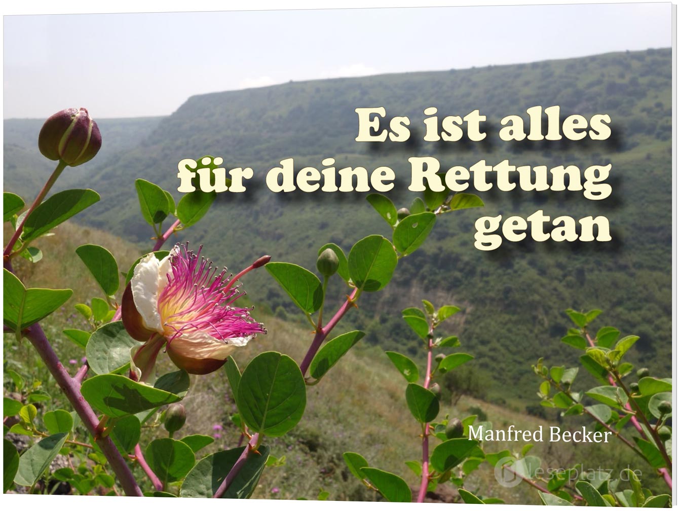 Es ist alles für deine Rettung getan