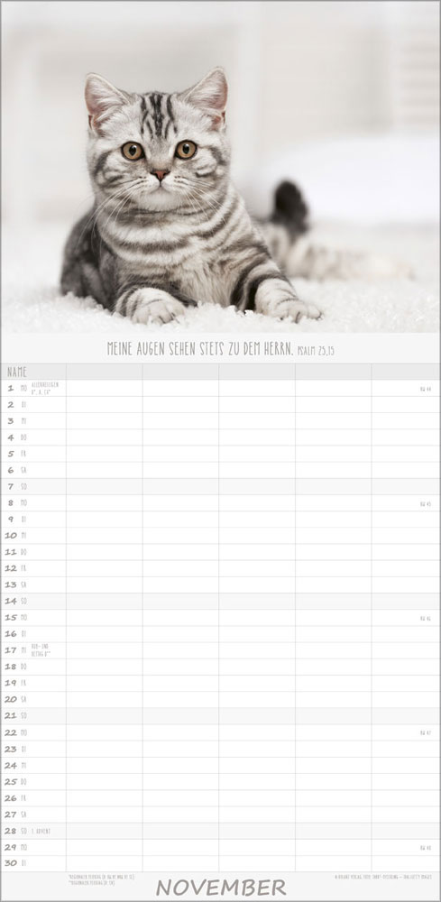 Familienplaner Katzen - 2027