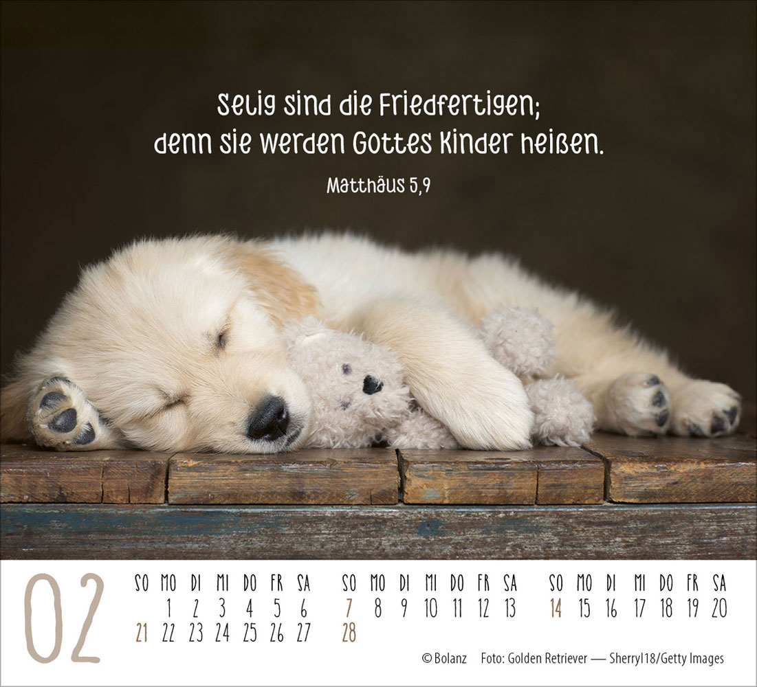 Hunde 2027 - Minikalender