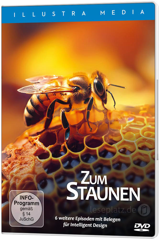 Zum Staunen - DVD