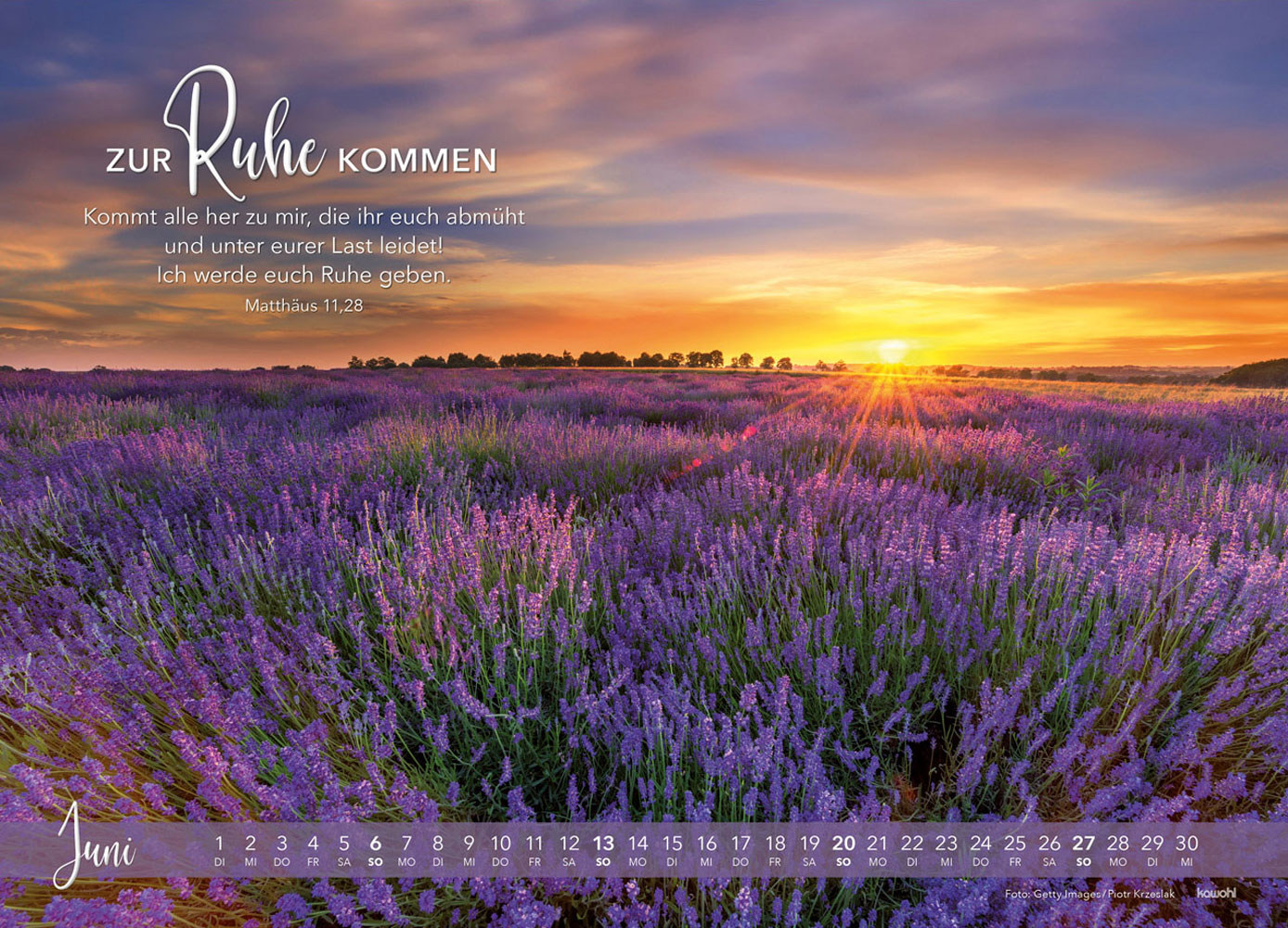 Die Liebe bleibt 2027 - Wandkalender