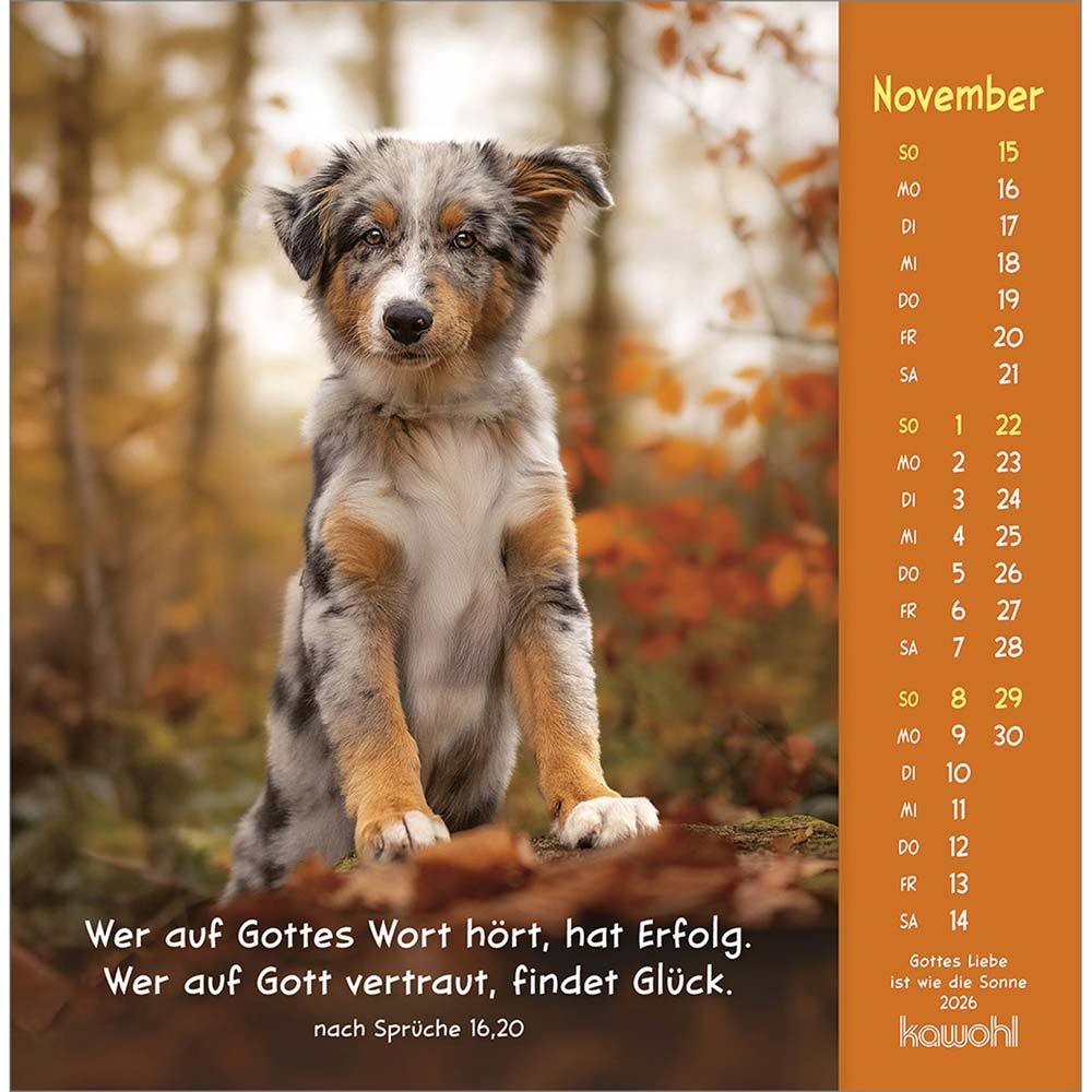 Gottes Liebe ist wie die Sonne 2026 - Postkartenkalender