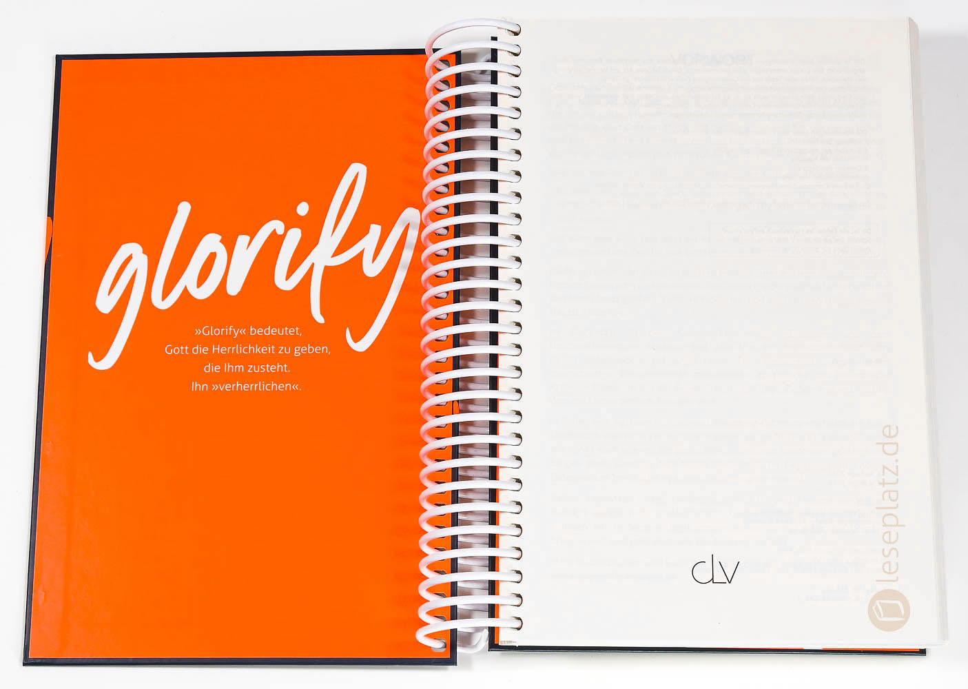 glorify - Großdruckausgabe Ringbuch