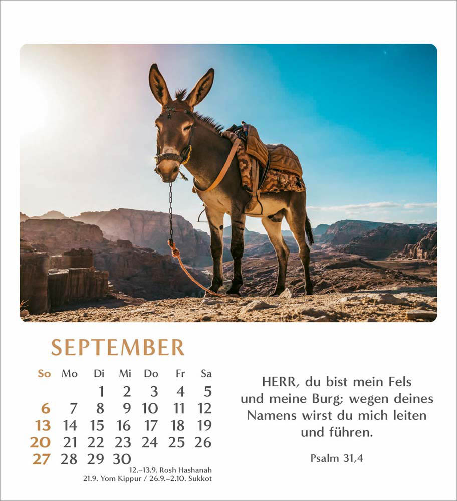Geliebtes Israel 2026 - Verteilkalender Geliebtes Israel 2026 - Verteilkalender