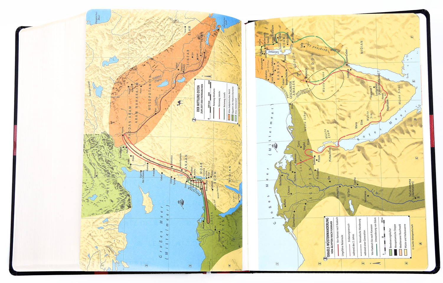 Reformations-Studien-Bibel - Rindspaltleder dunkelblau