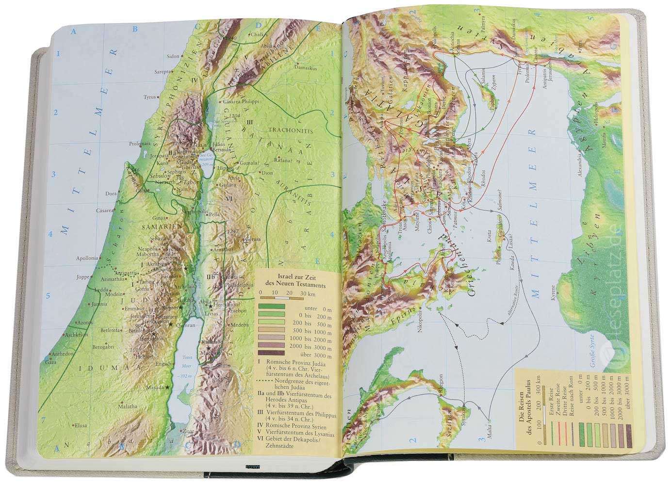 NeÜ - Standardausgabe Kunstleder grün/grau