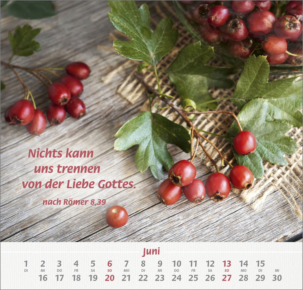 Denn du bist bei mir 2027 - Grossdruck-Kalender