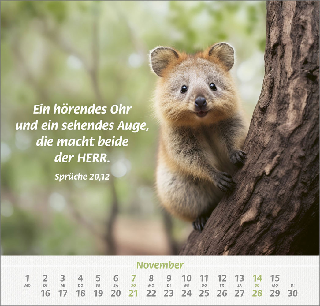 Ich hab dich gern 2027 - Wandkalender