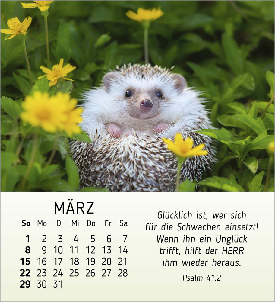 Meine kleinen Freunde 2026