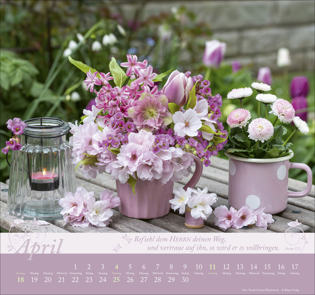 Im Garten zuhause 2027 - Wandkalender