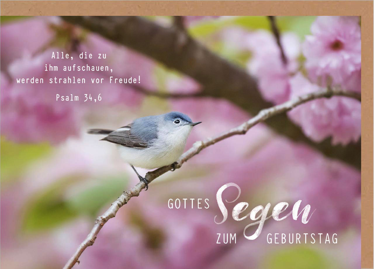 Faltkarte "Gottes Segen zum Geburtstag" (Vogel)