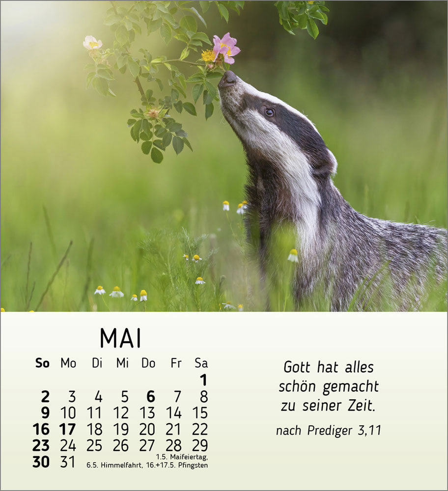 Meine kleinen Freunde 2027