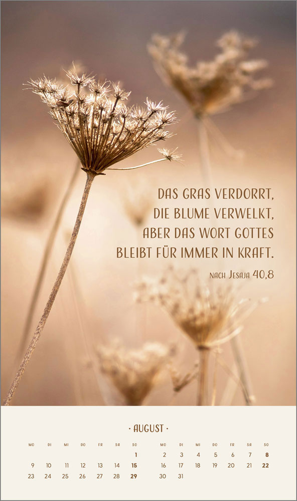 Zarte Blumengrüße 2027 - Wandkalender