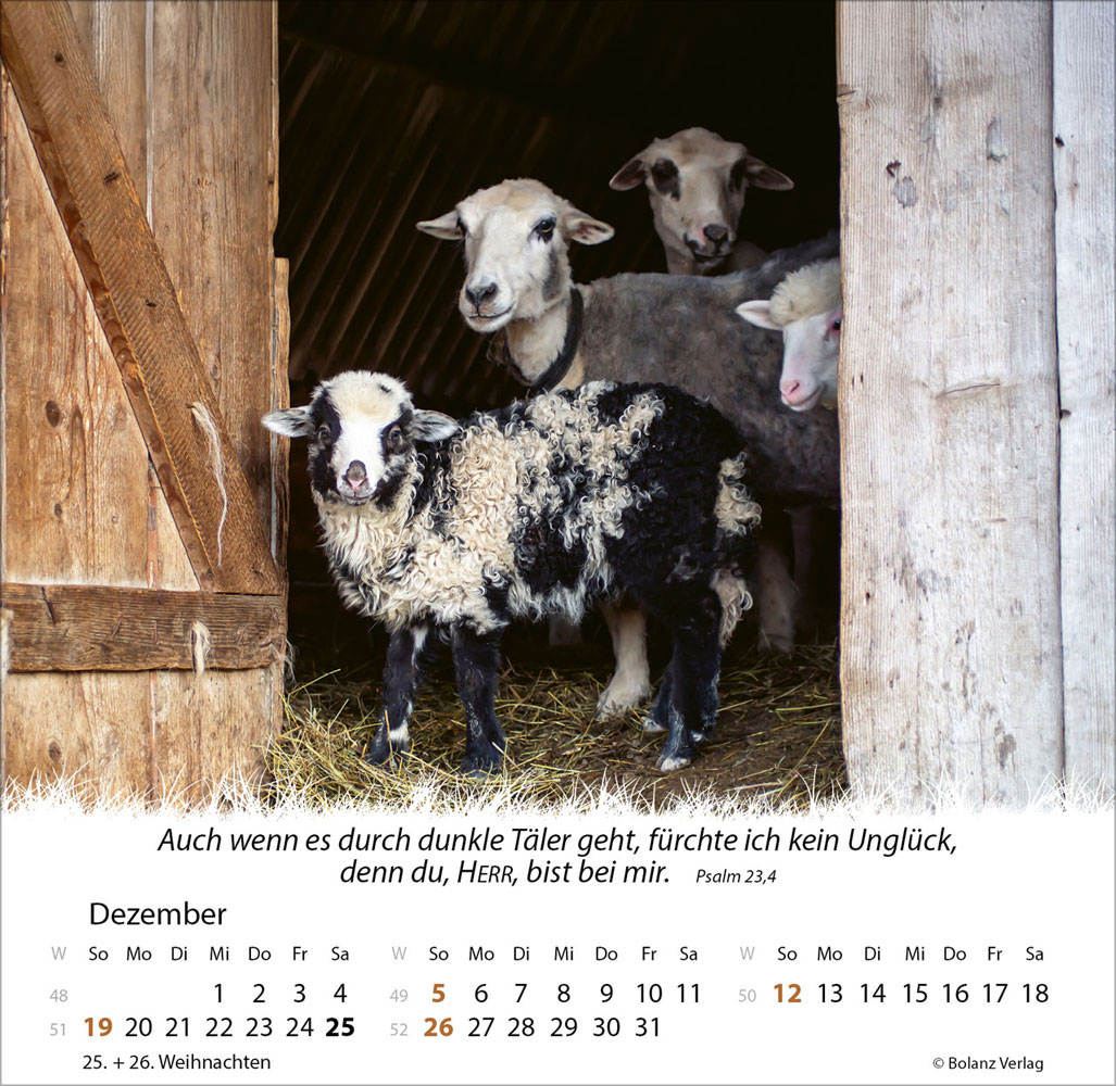 Ein Leben für die Schafe 2027 - Verteilkalender