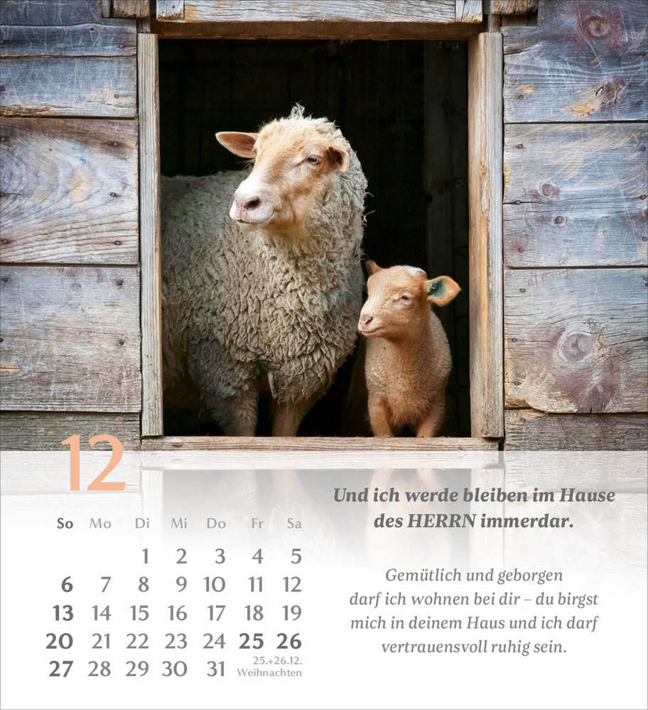 Psalm 23 - Tischkalender 2026