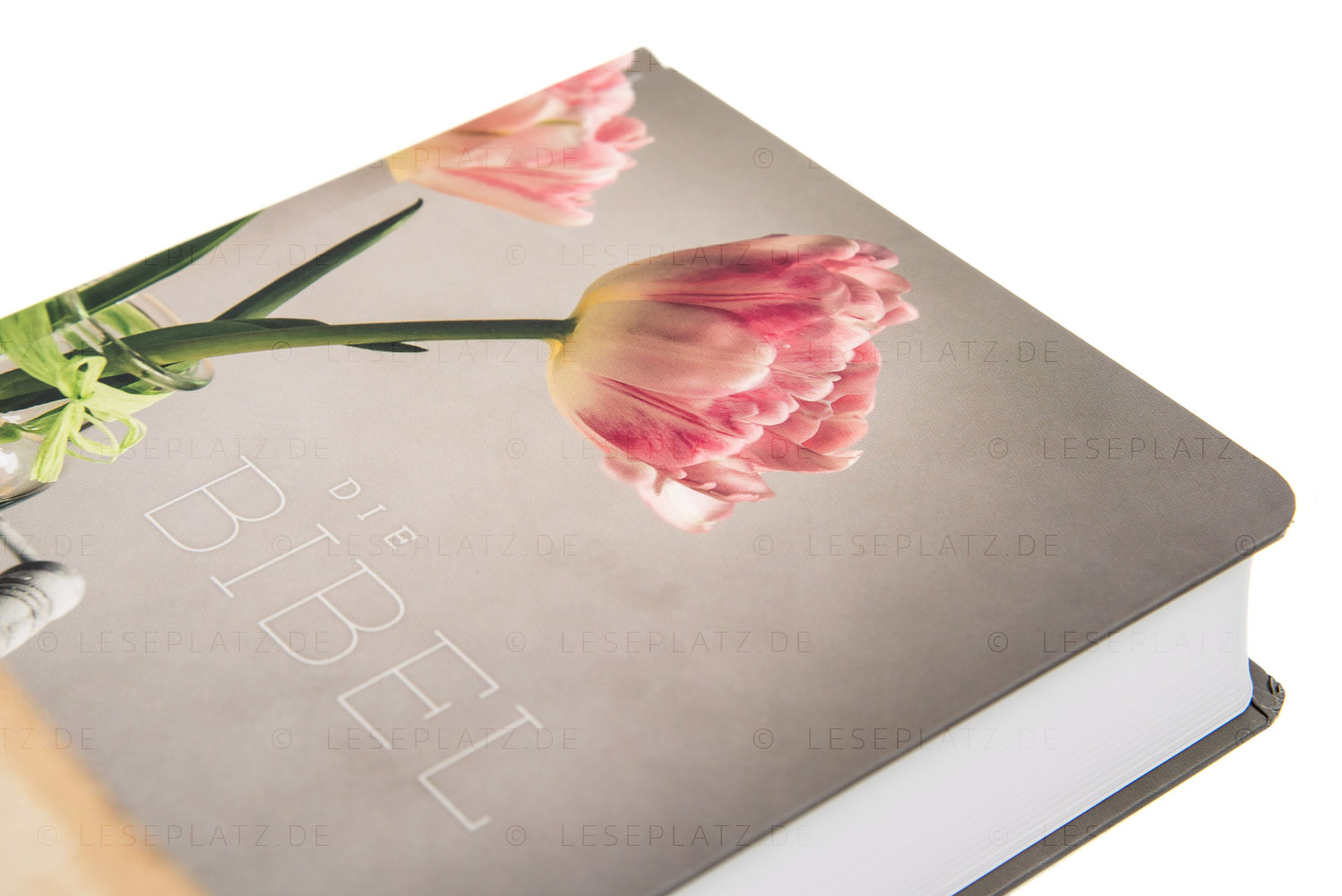 Schlachter 2000 Taschenausgabe - Hardcover "Blüten"