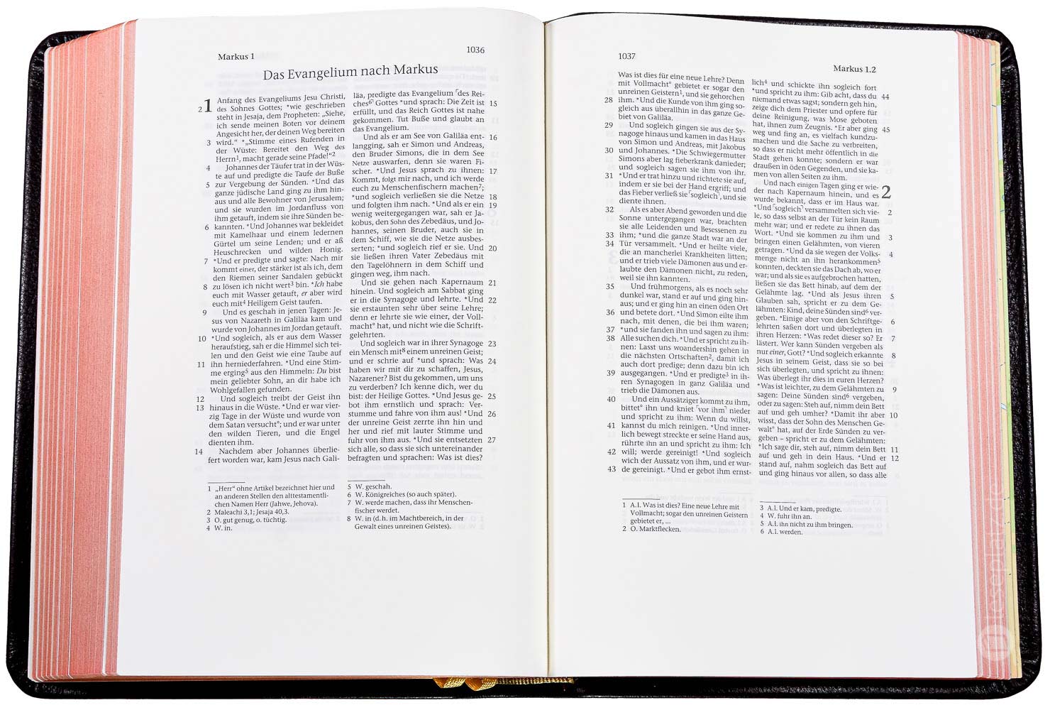 Elberfelder 2003 - kl.Schreibrandausgabe / Leder dunkelbraun Rotgoldschnitt