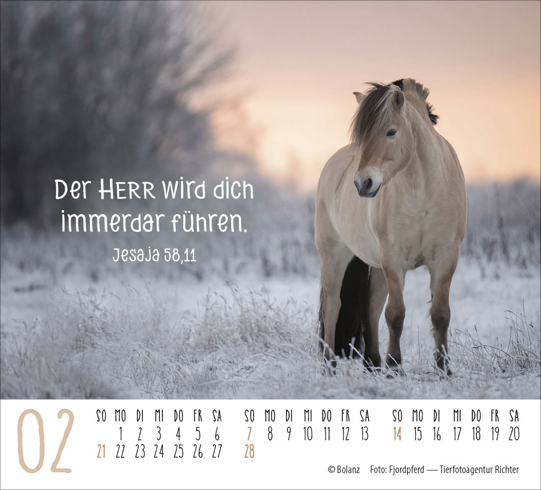 Pferde 2027 - Minikalender