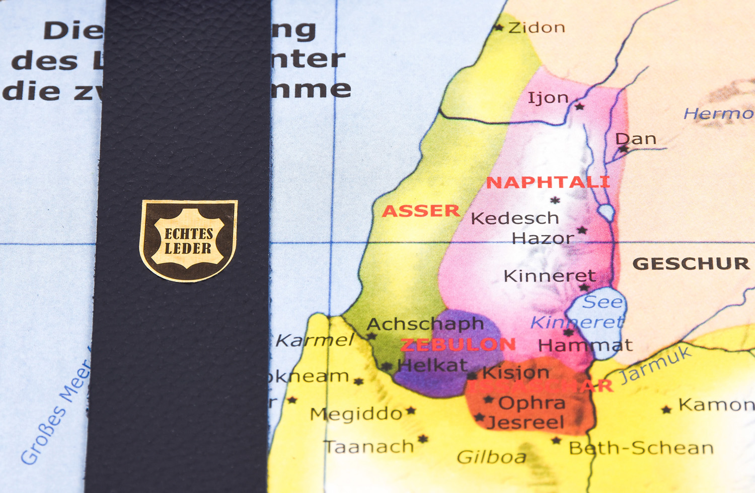 MacArthur Studienbibel mit Echtleder-Bibelhülle