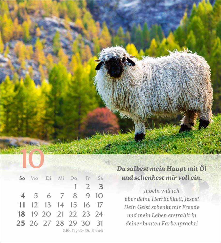 Psalm 23 - Tischkalender 2026