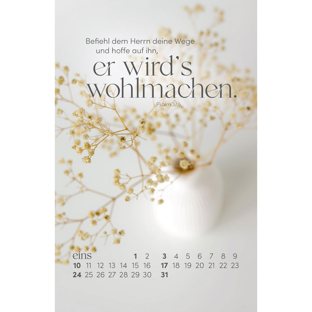 Sein Wort. Dein Fels. 2027 - Postkartenkalender mit Holzaufsteller