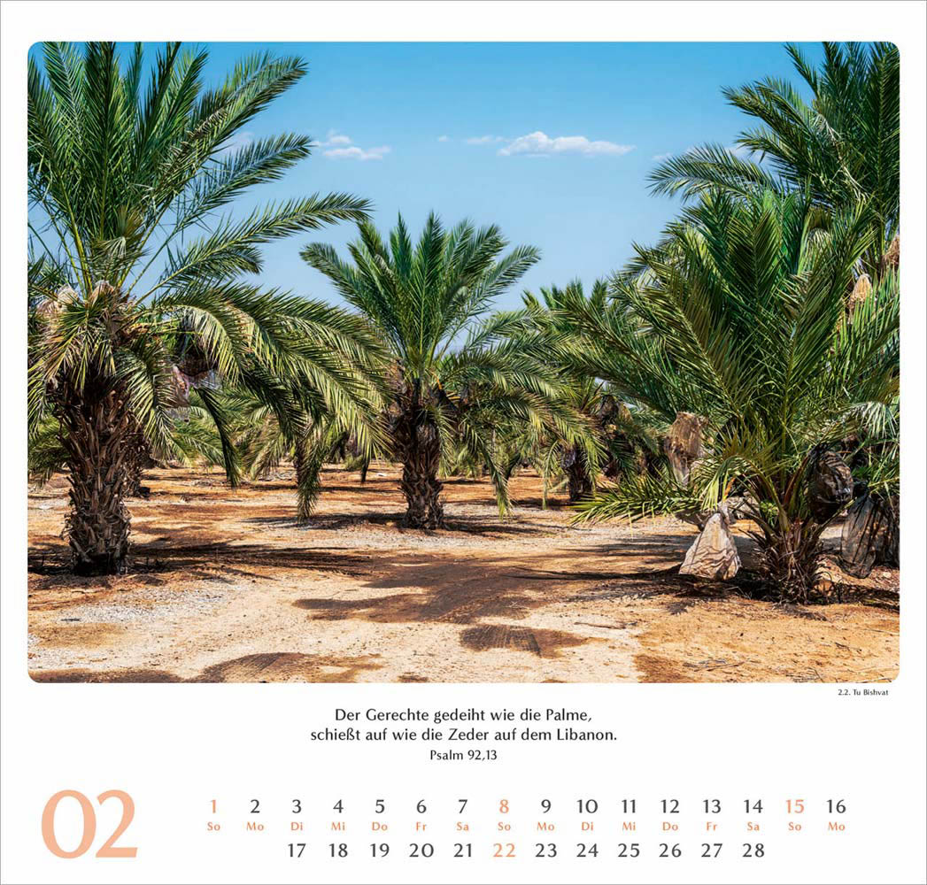 Geliebtes Israel 2026 - Wandkalender Geliebtes Israel 2026 - Wandkalender