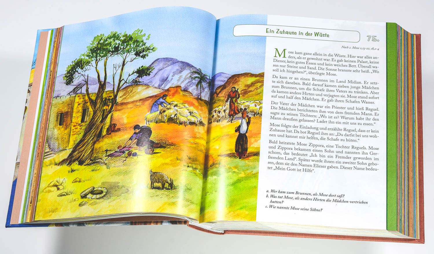 Entdecke die Bibel - Gesamtausgabe Entdecke die Bibel - Gesamtausgabe