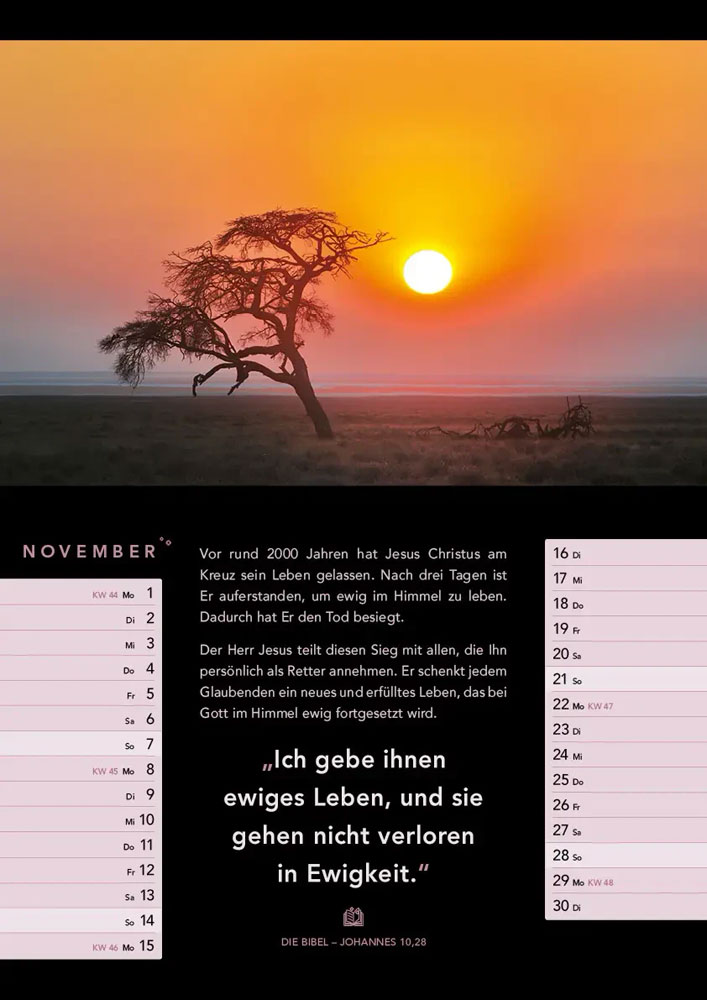 Licht zum Leben 2027 - Monatskalender