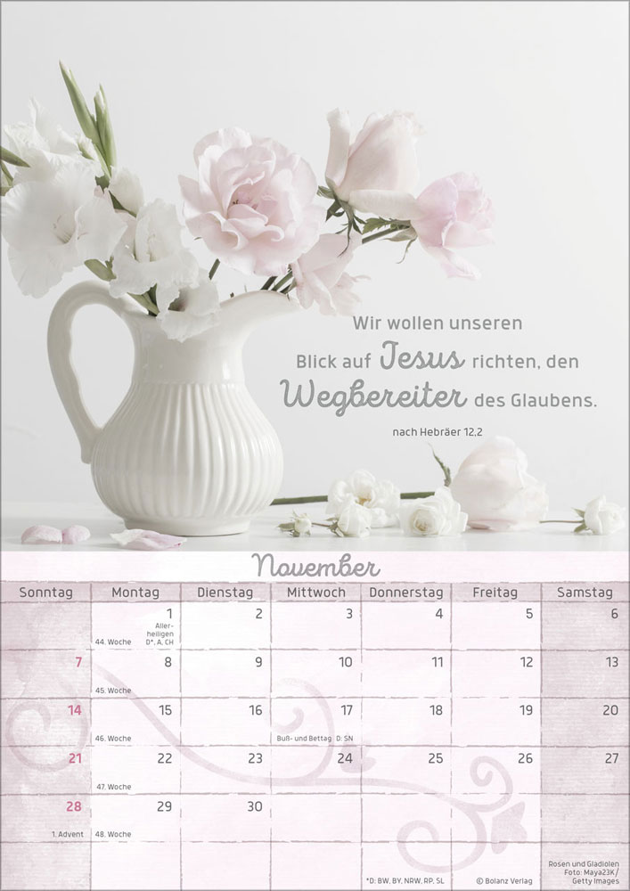 Momente der Freude 2027 - Wandkalender