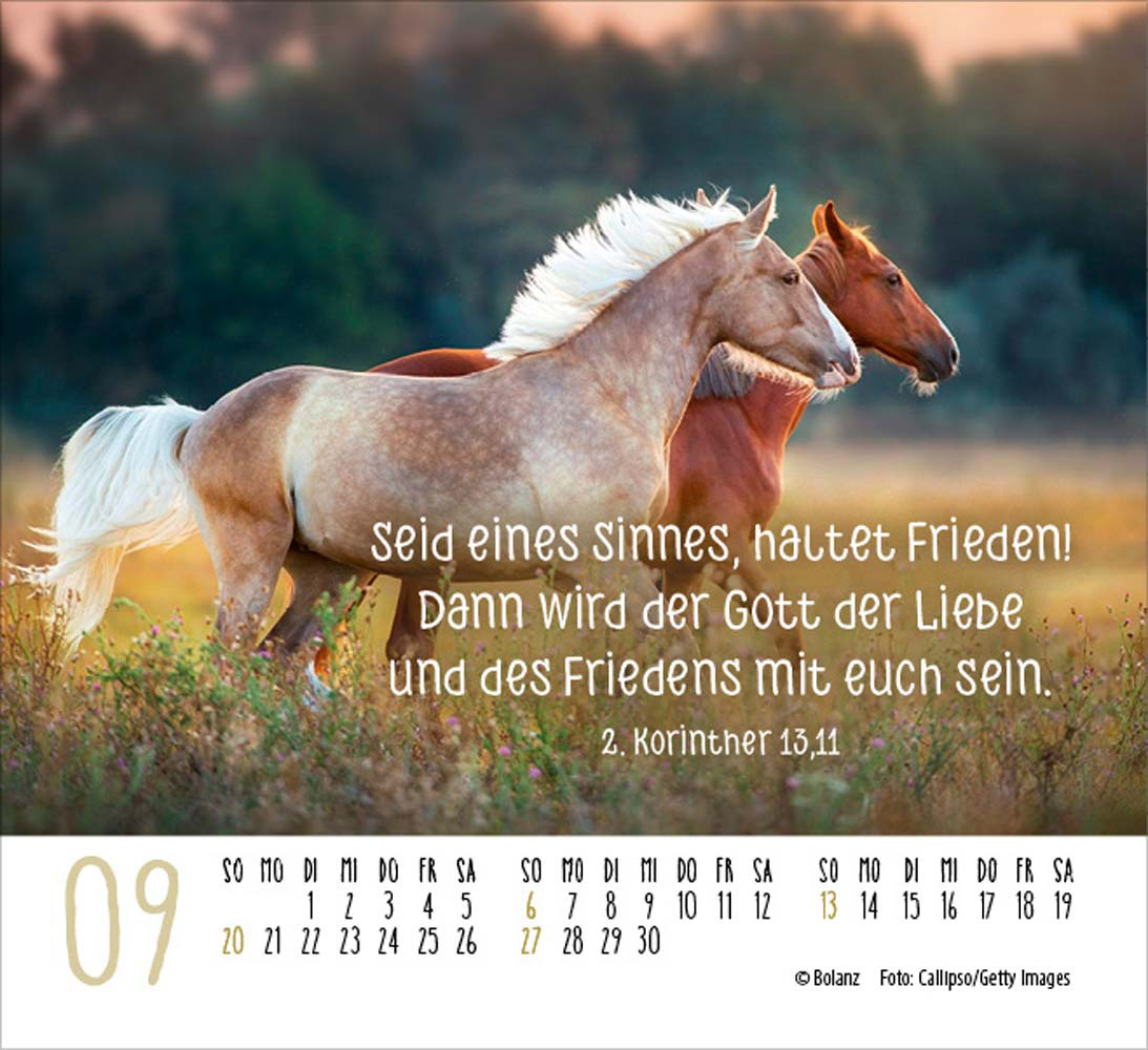 Pferde 2026 - Minikalender  