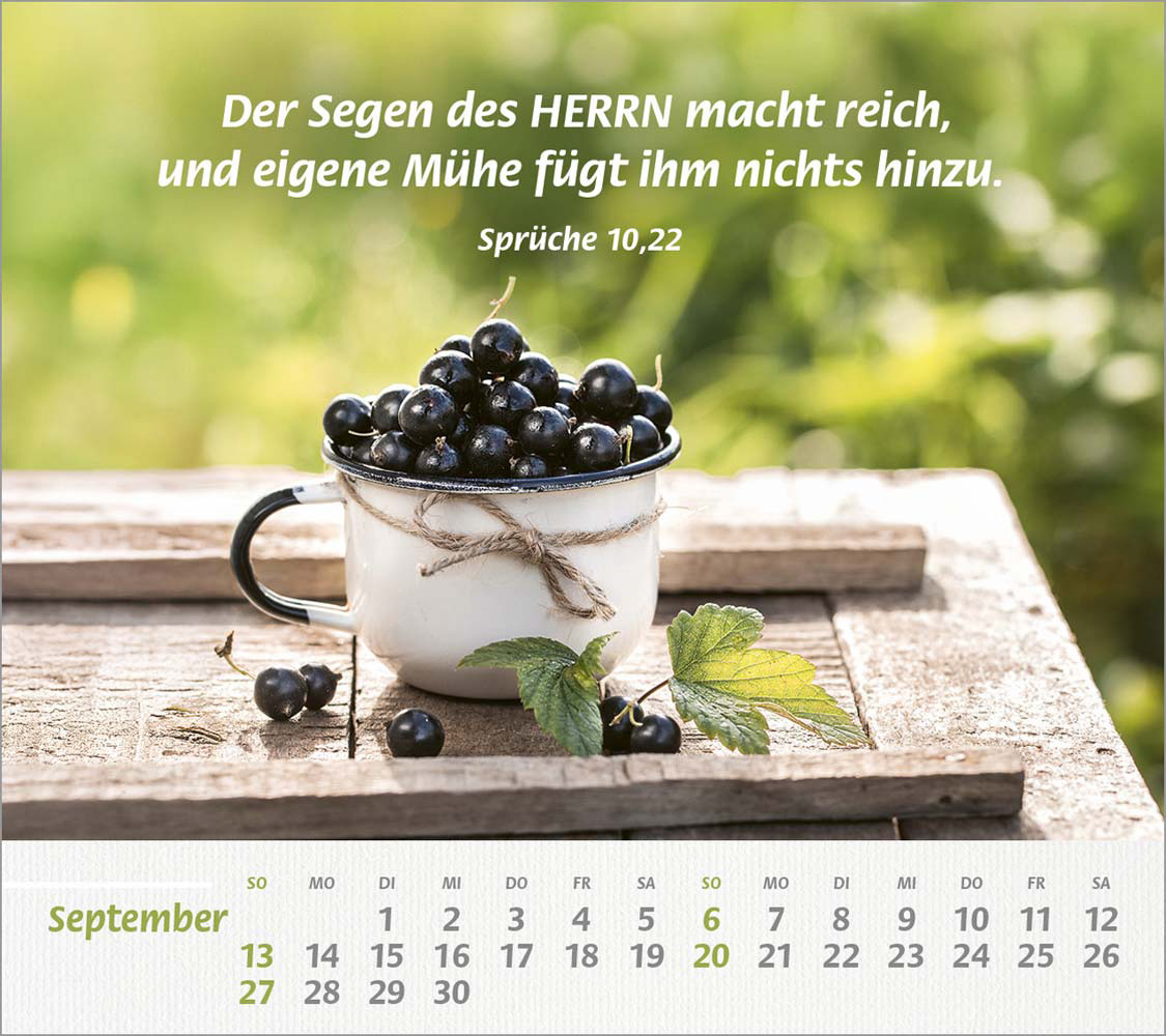 Du bist meine Stärke 2026