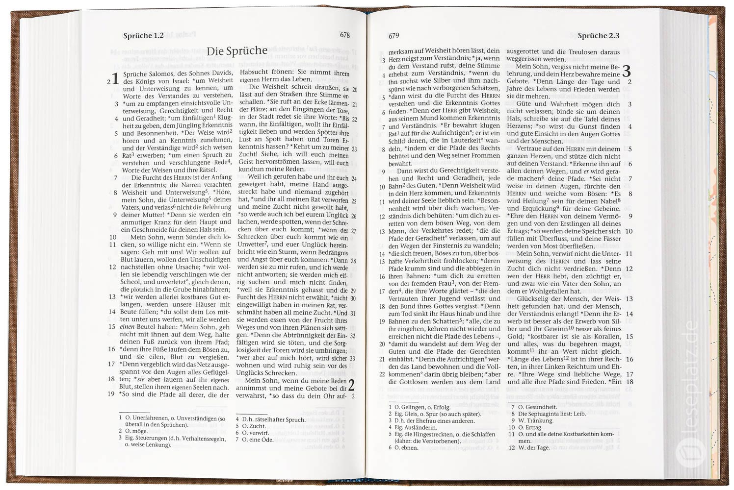 Elberfelder 2003 - Taschenausgabe / Hardcover Leinen sandbraun