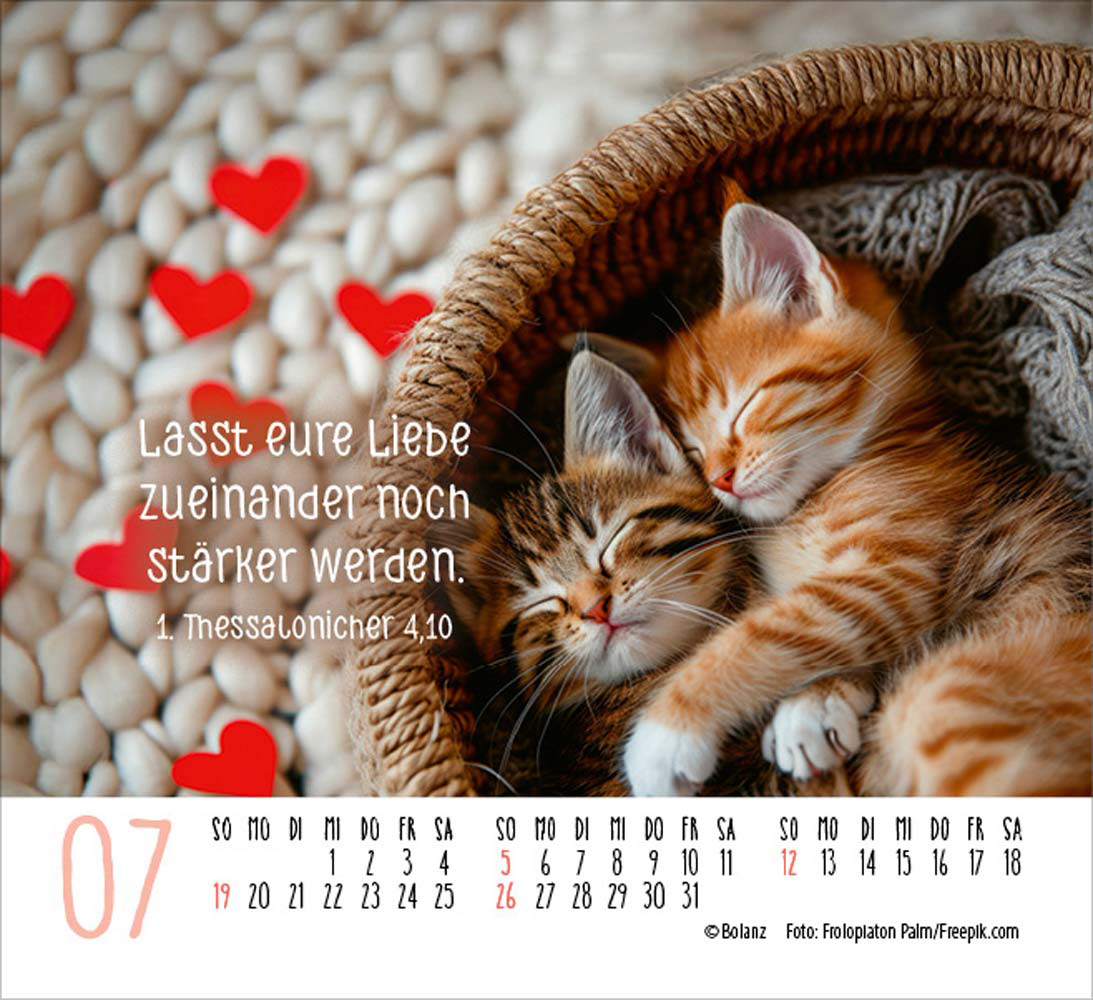 Katzen 2026 - Minikalender  
