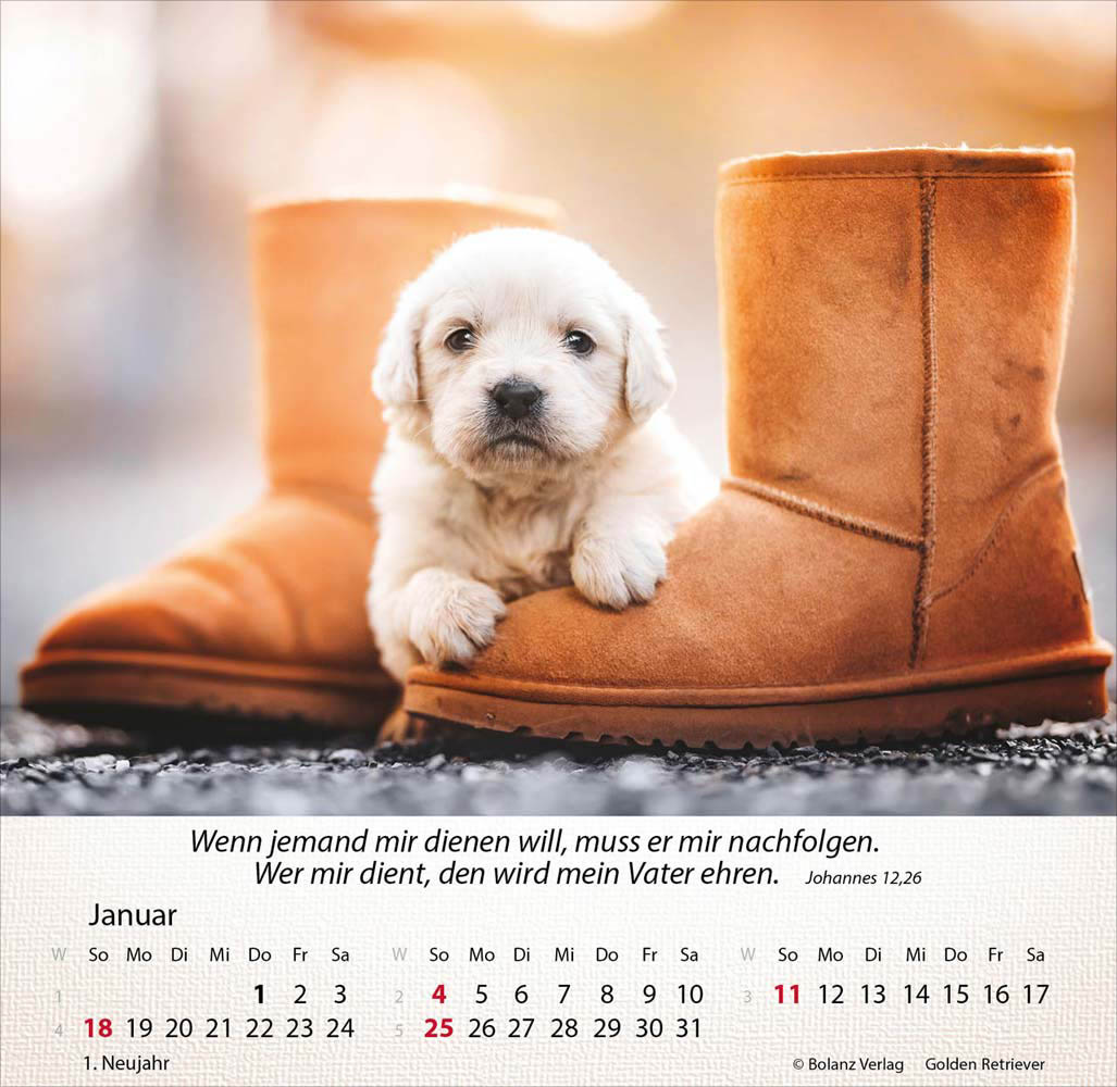 Hunde 2026 - Tischkalender