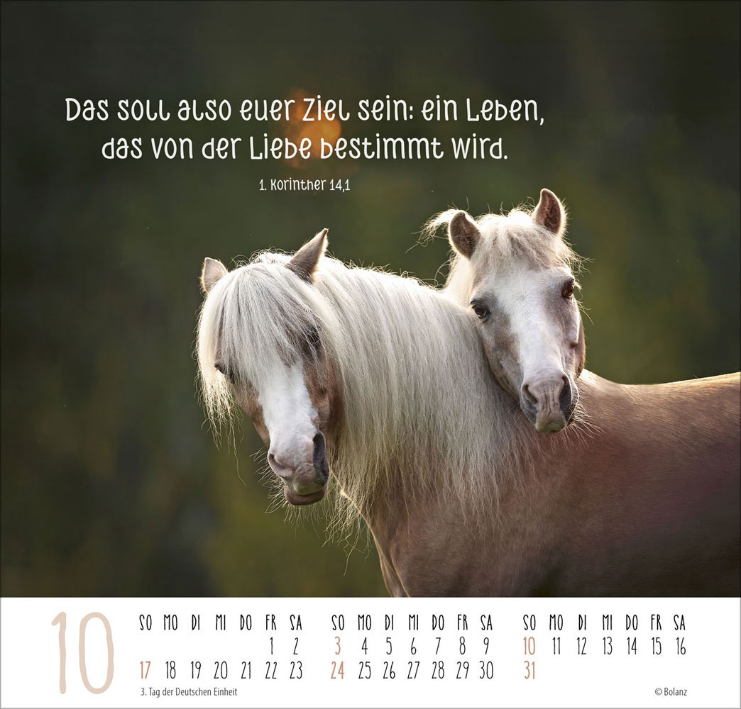 Beste Freunde - Ich mag dich  2027 - Posterkalender