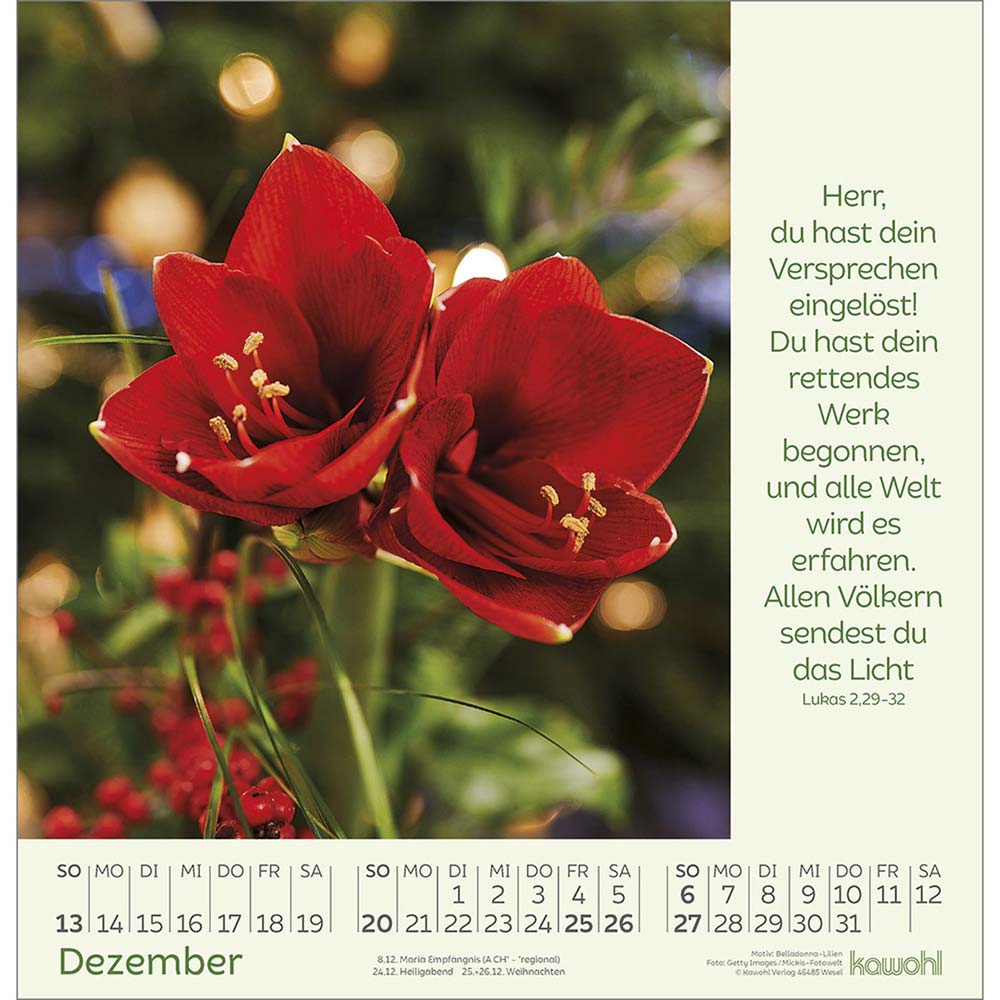 Blumengrüße 2026 - Wandkalender