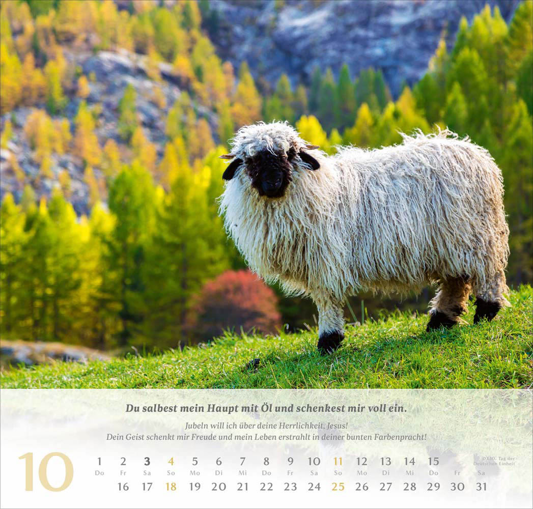 Psalm 23 - Wandkalender 2026