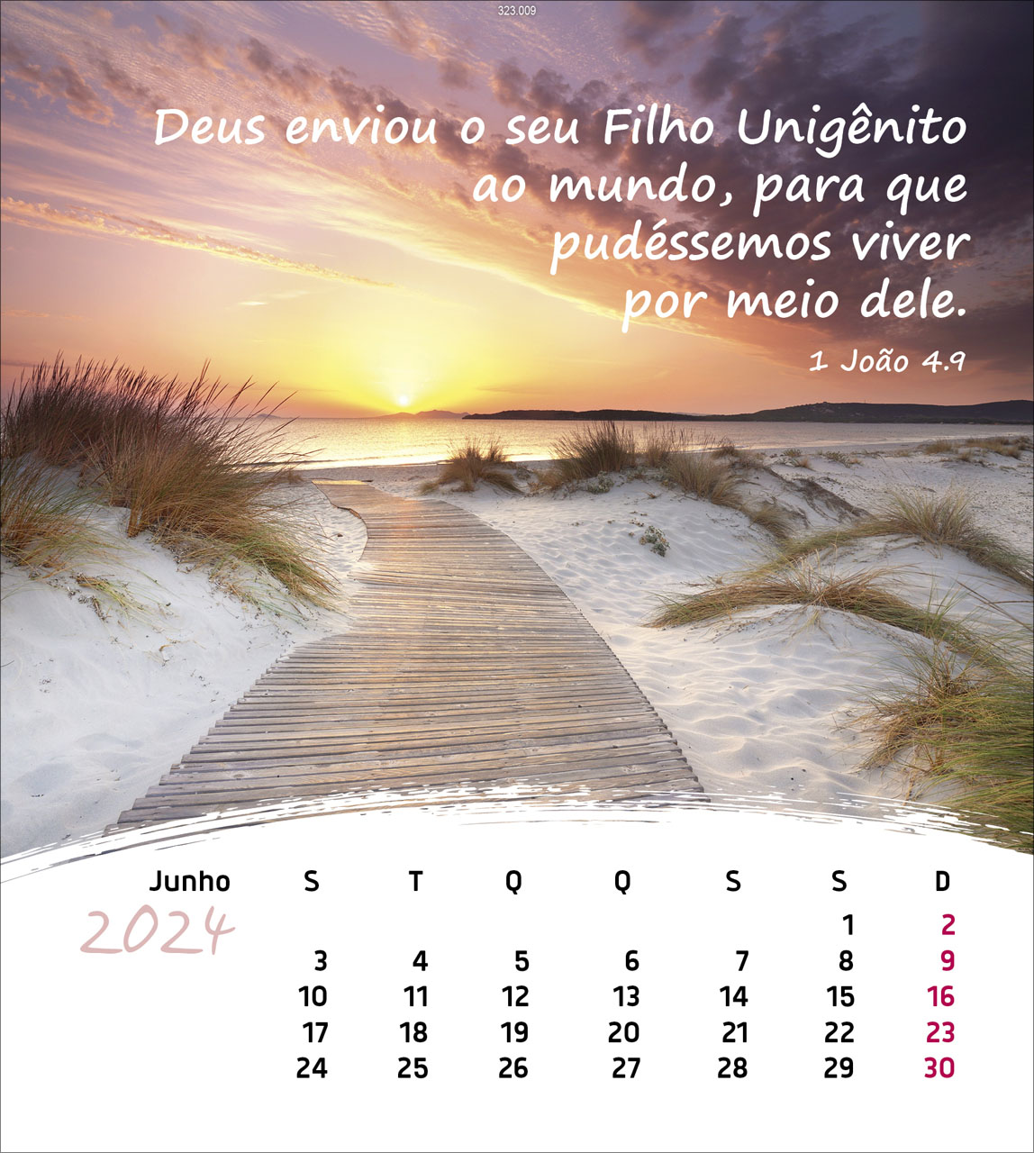Leben für Dich 2024 - Postkartenkalender Leben für Dich 2024 - Postkartenkalender