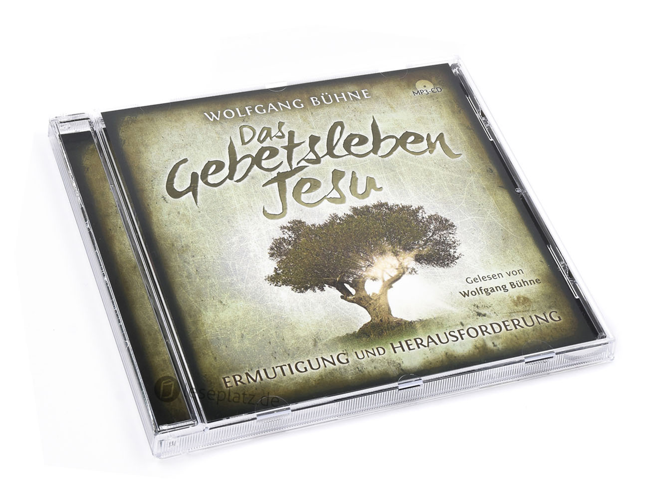 Das Gebetsleben Jesu - Hörbuch