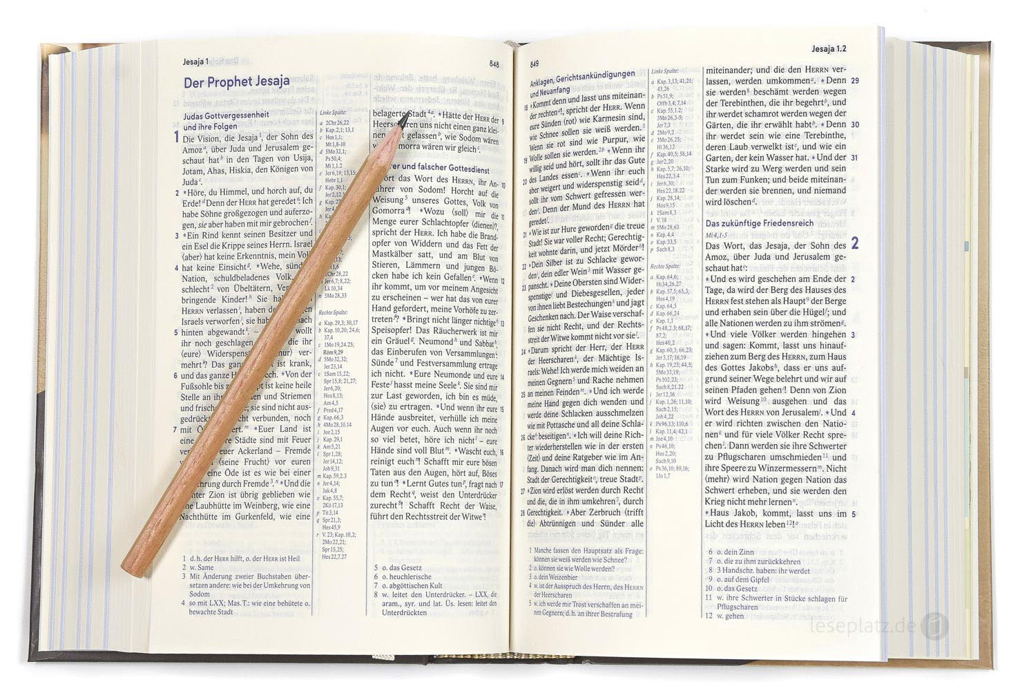 Elberfelder Bibel 2006 Taschenausgabe - mit 125 Lebensbildern biblischer Personen