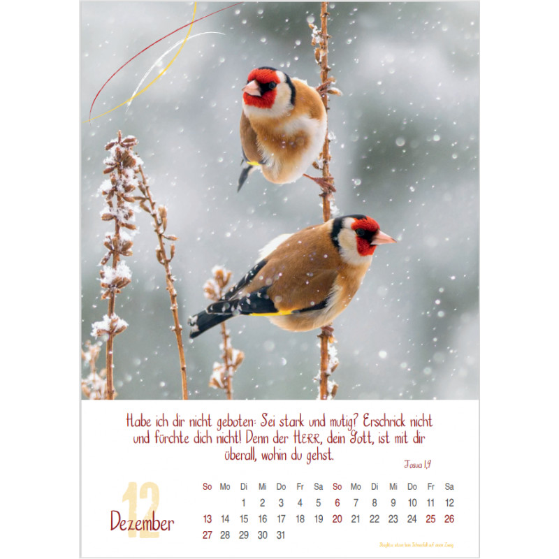 Natur 2026 - Fotokalender