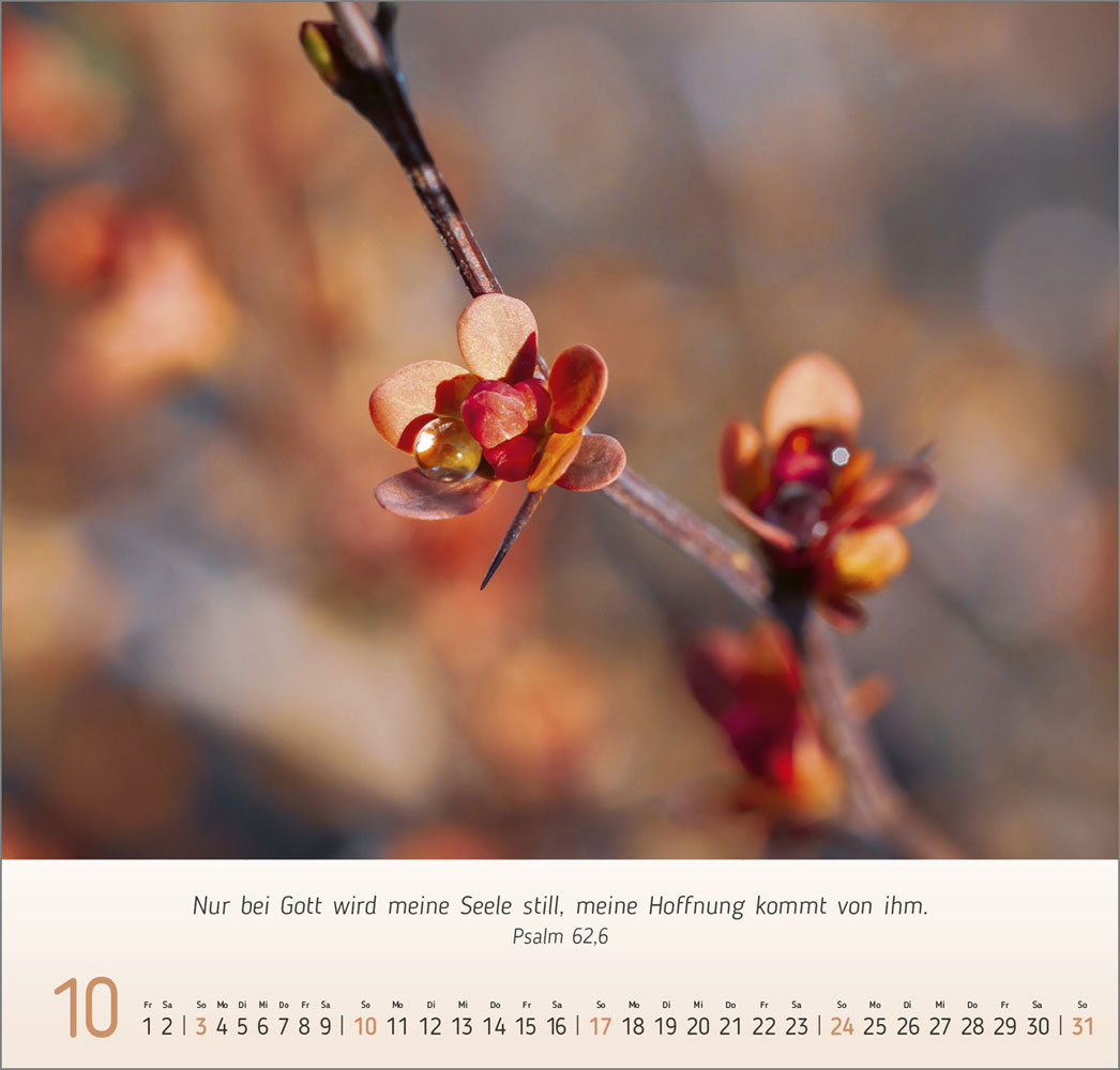 Gesichter der Natur 2027