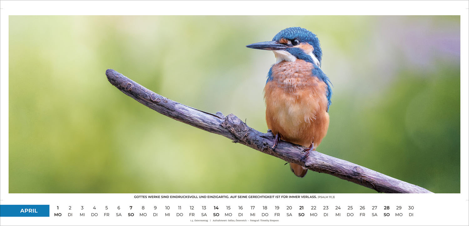 Life-is-more Panoramakalender XL 2024 Life-is-more Panoramakalender XL 2024