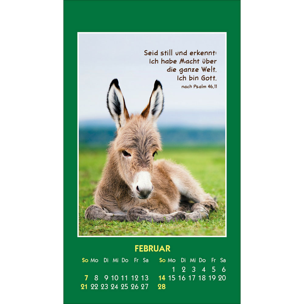 Hallo Du 2027 - Aufkleber-Kalender