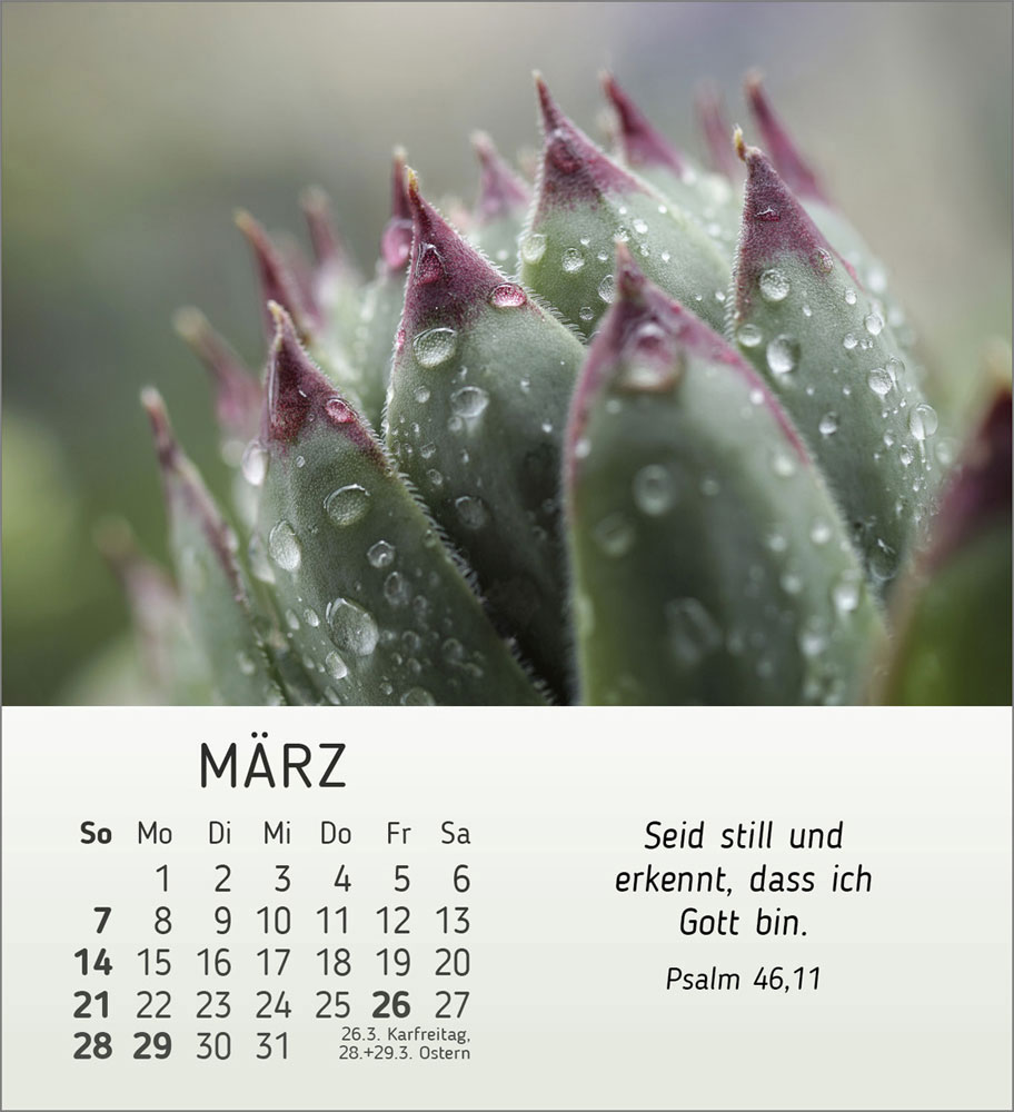 Stille Begegnungen 2027