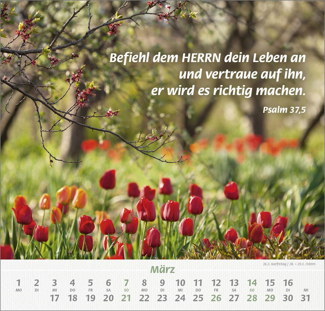 Denn du bist bei mir 2027 - Grossdruck-Kalender